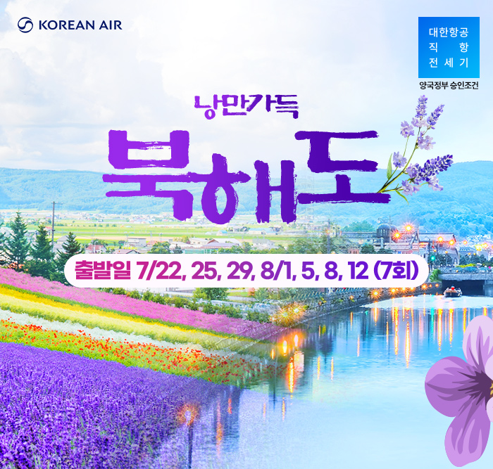 [기획전] 2025 북해도 전세기 기획전